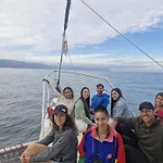 Casa Kraken Hostel