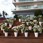Icon - Puerto Vallarta