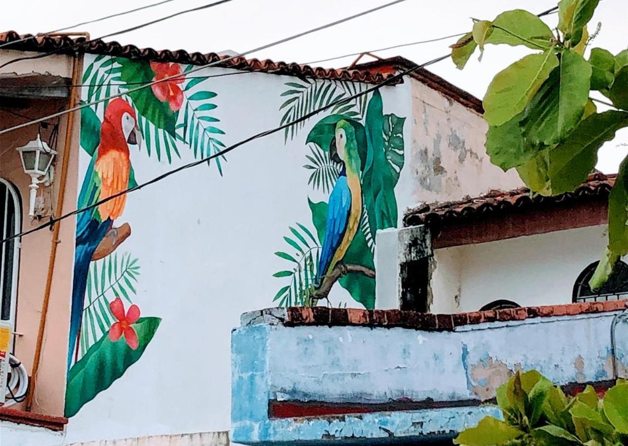 My Local Vallarta Bed and breakfast Puerto Vallarta