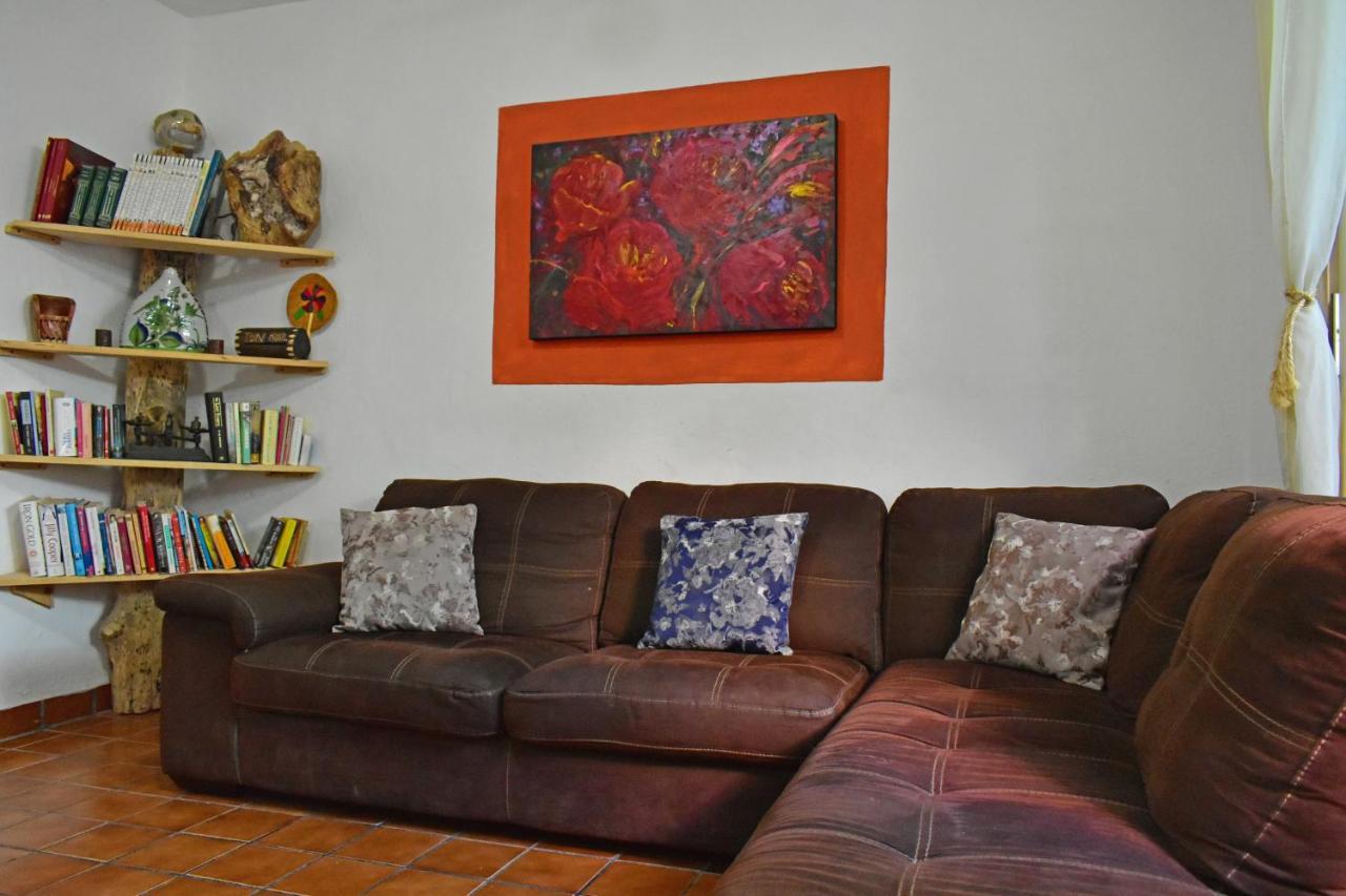 Bed and breakfast My Local Vallarta Puerto Vallarta