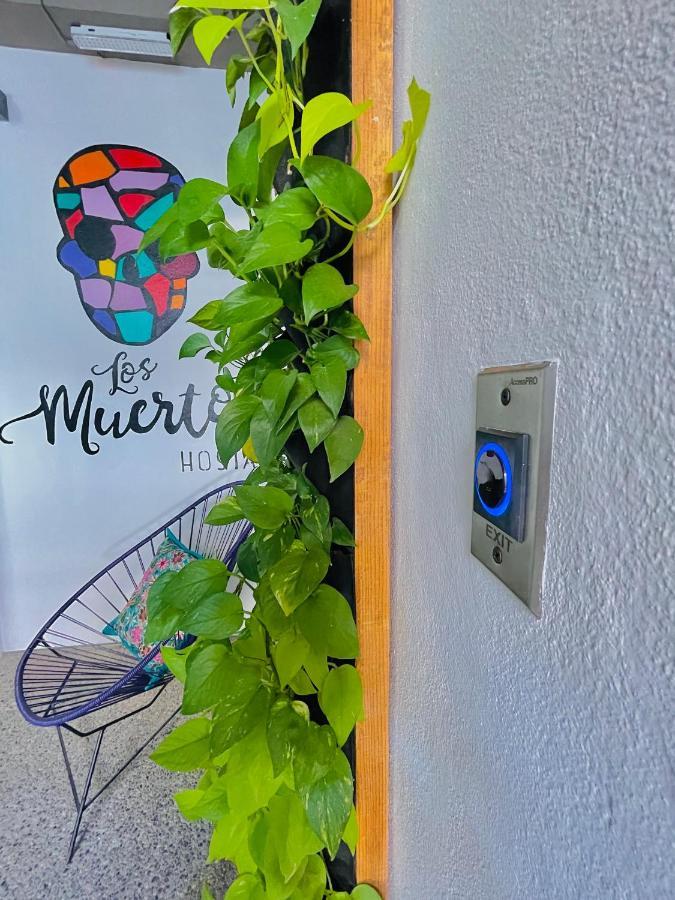 Muertos * Puerto Vallarta