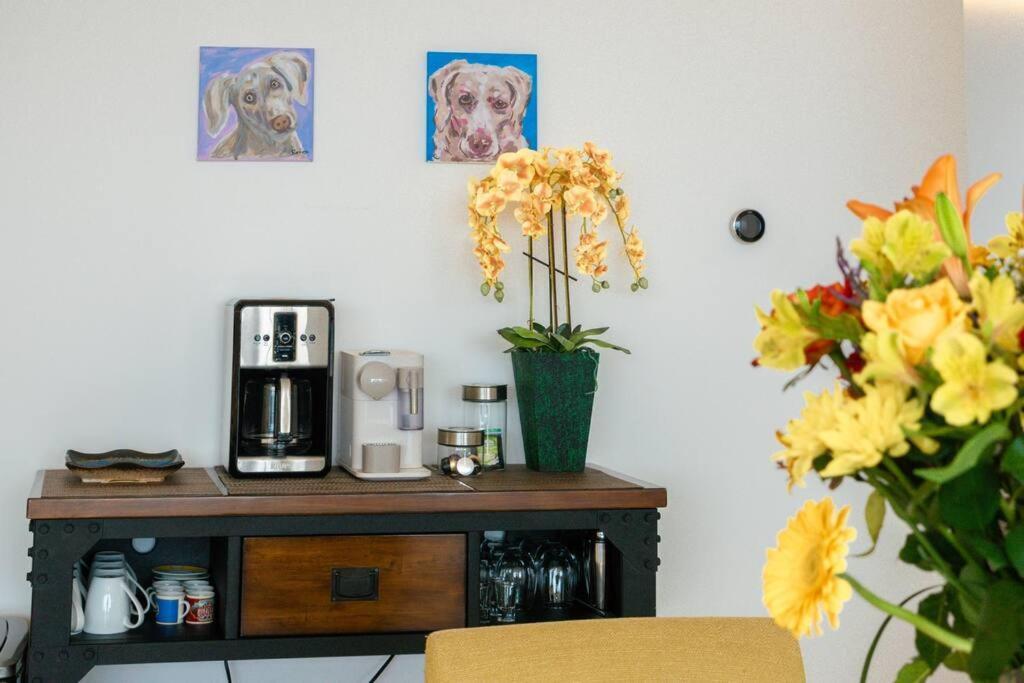 Luxury Oceanview Modern Apartment Puerto Vallarta