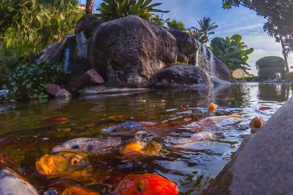 Perfect Place Velas Vallarta Puerto Vallarta