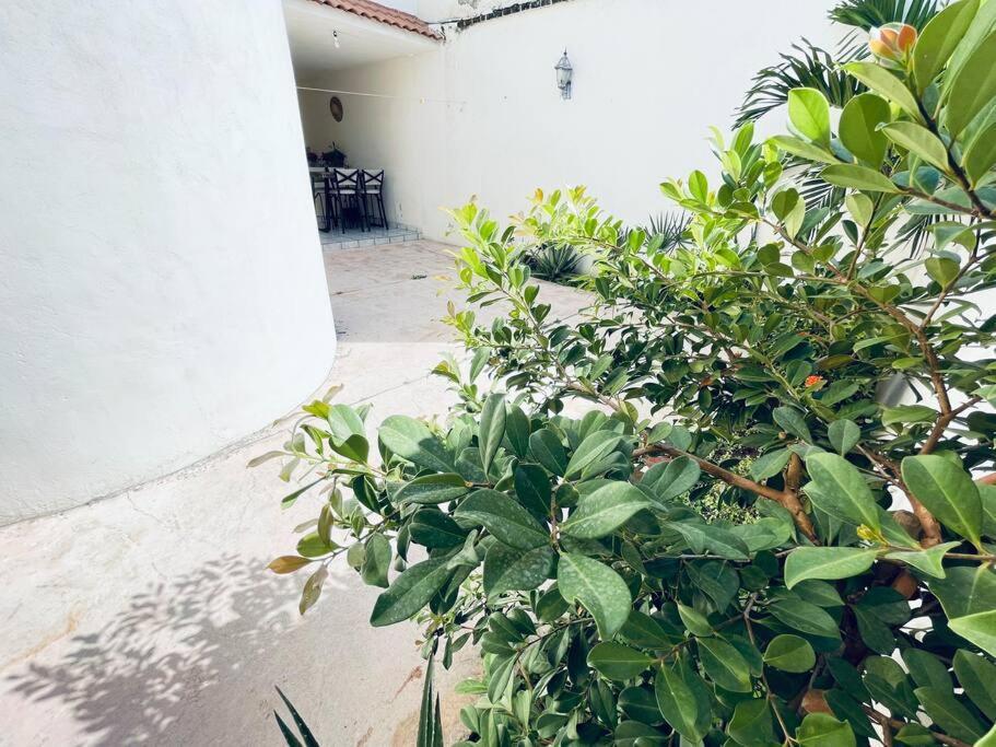 Casa Cerca Del Mar! 4 Con Aire Acondicionado Holiday home