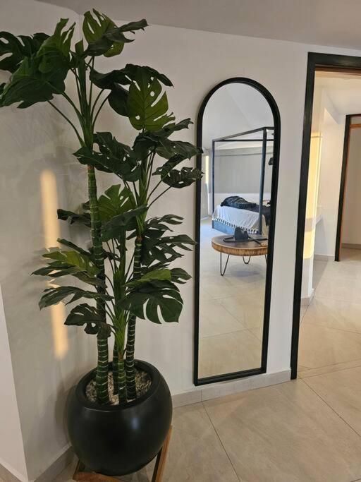 Casa Xula Vallarta Apartment Puerto Vallarta