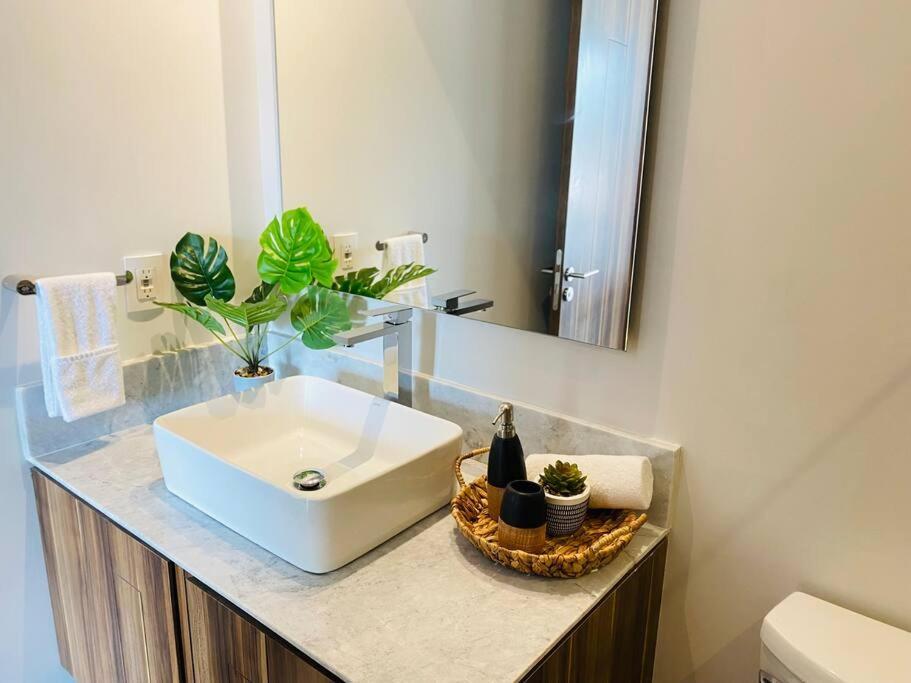 New Versalles Unit With Rooftop Pool
