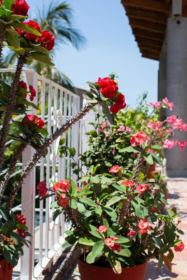 Casitas Miramar Malecon *