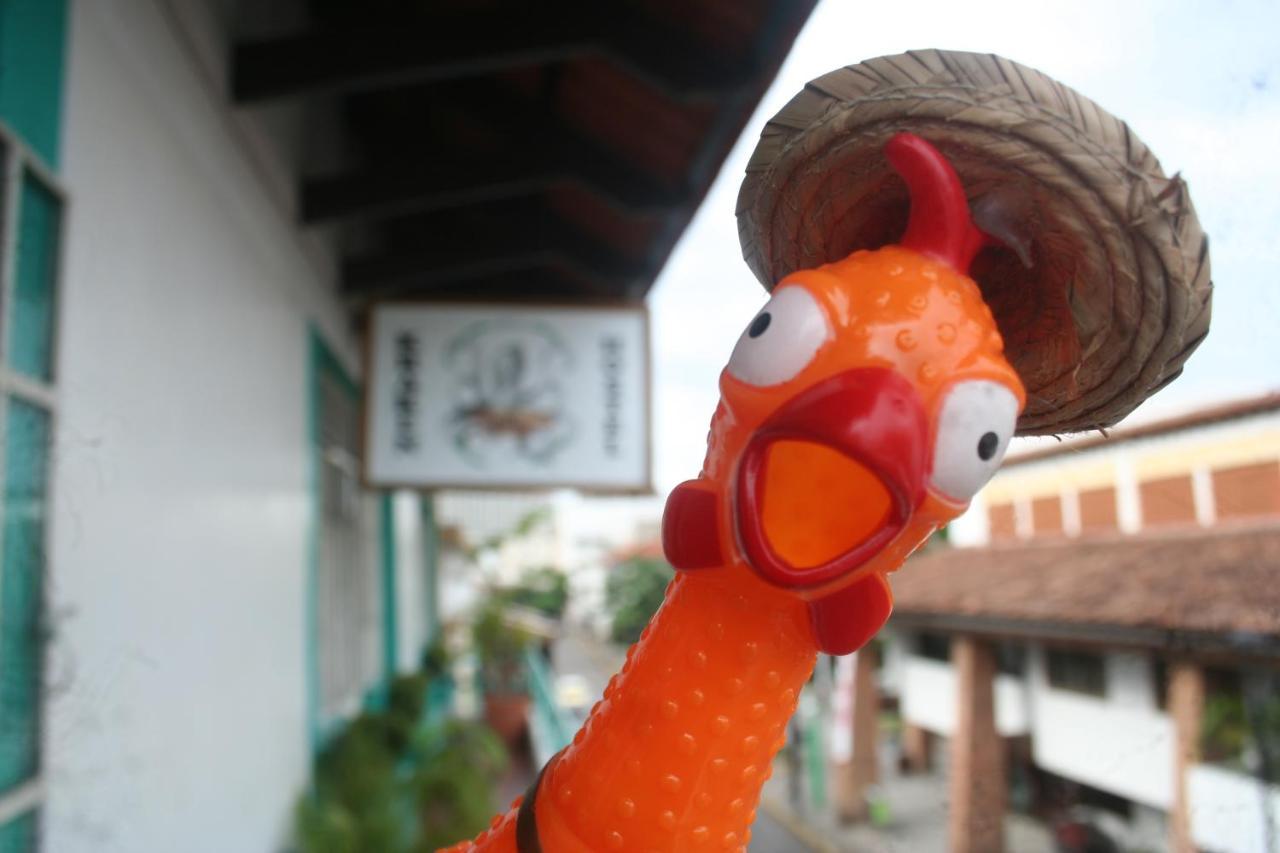 Casa Kraken Hostel