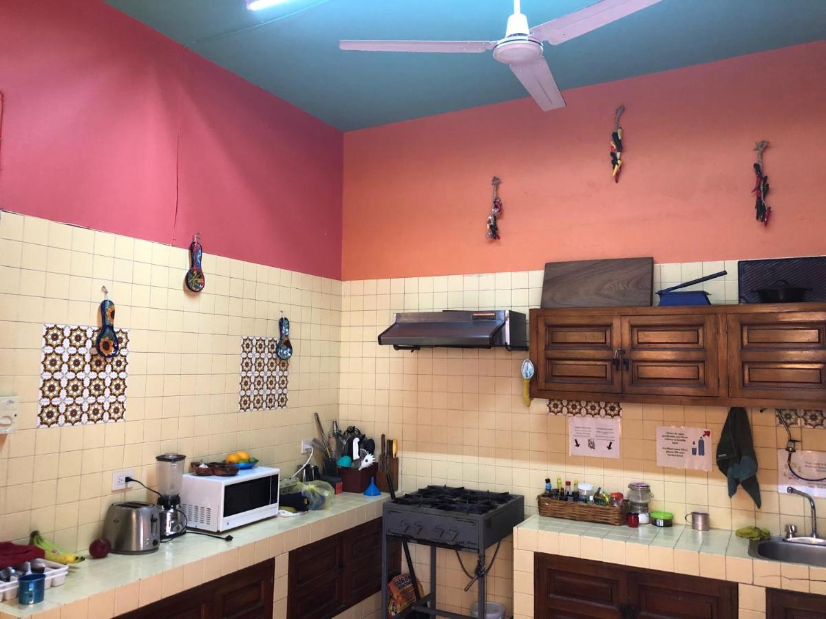 Casa Kraken Hostel
