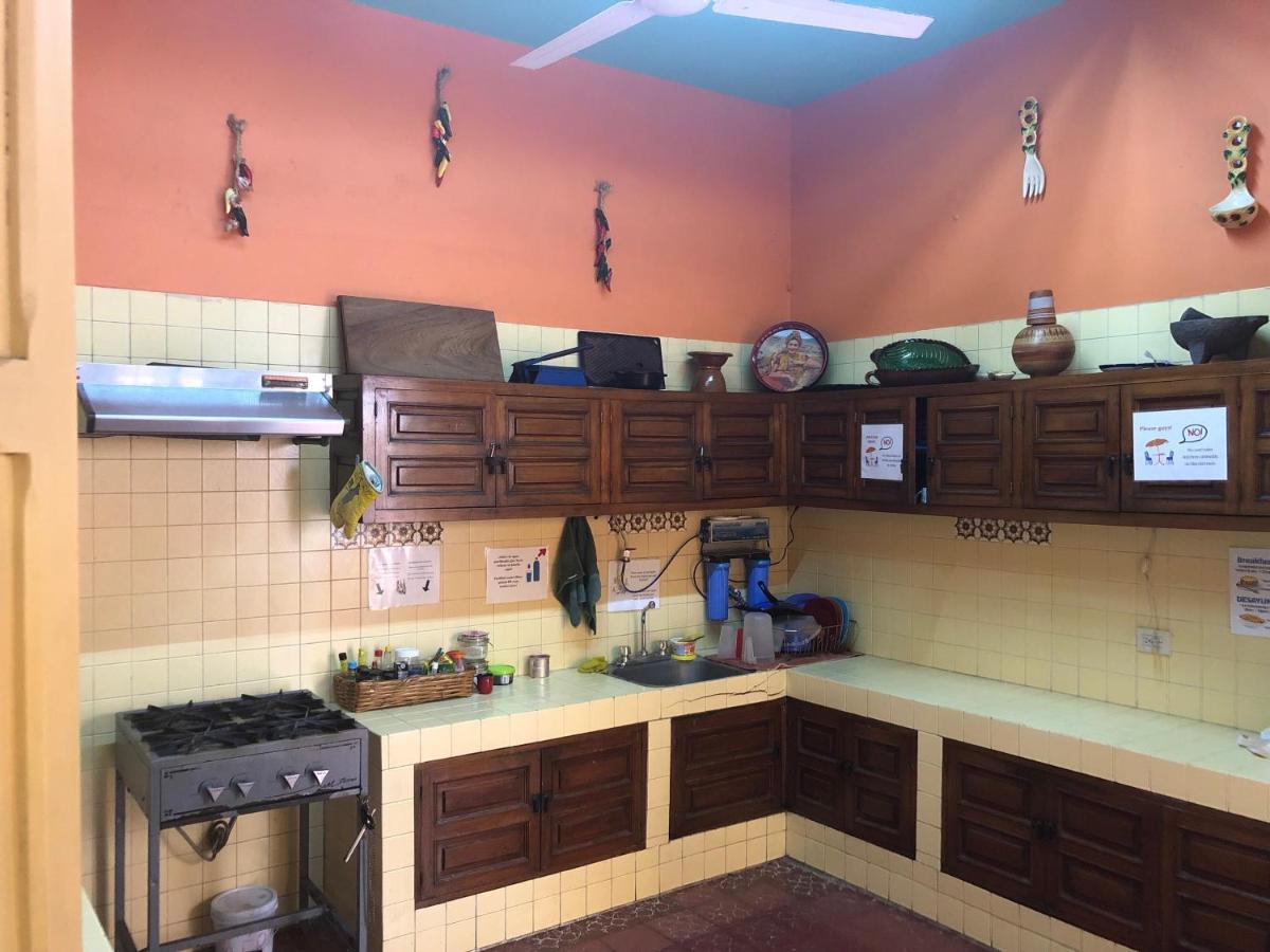 Hostel Casa Kraken *