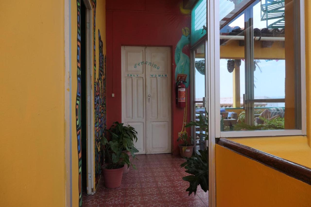 Hostel Casa Kraken
