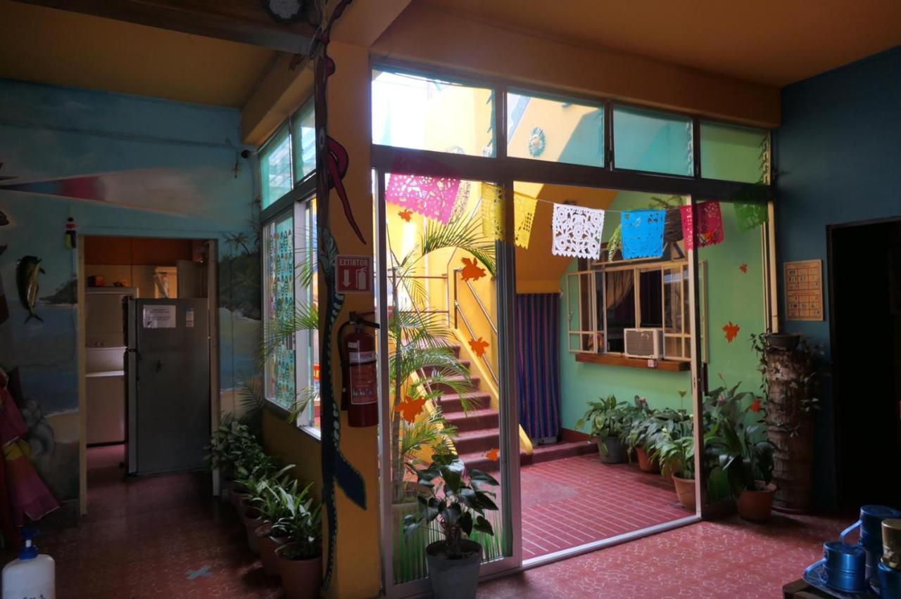 Hostel Casa Kraken *