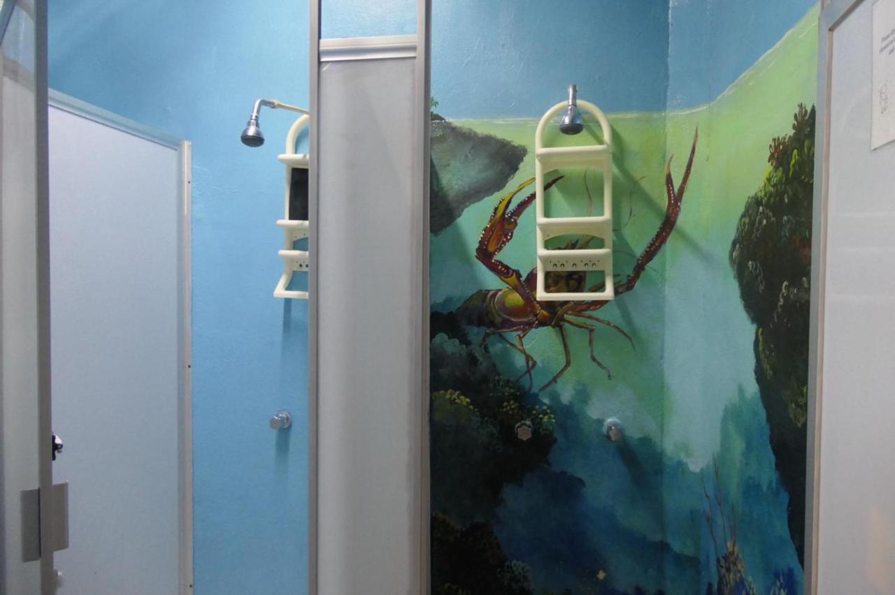 Casa Kraken Hostel Puerto Vallarta