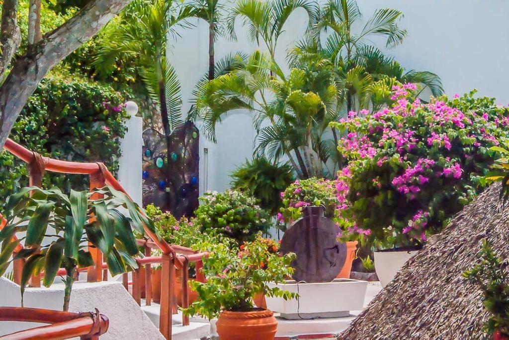 Villa Casa San Sebastian *