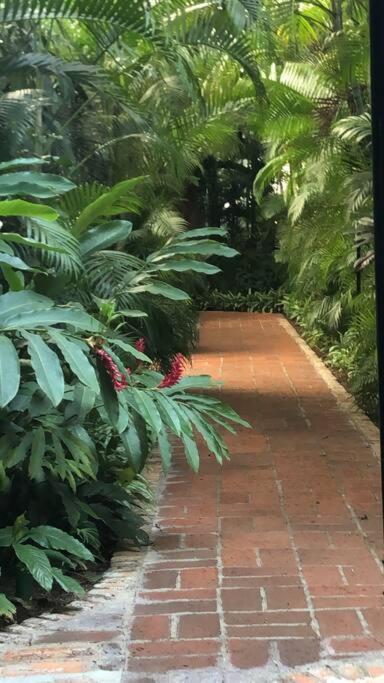 Apartment Centrally Located 1 Block From Beach, Quiet 2 Bedroom With Pool