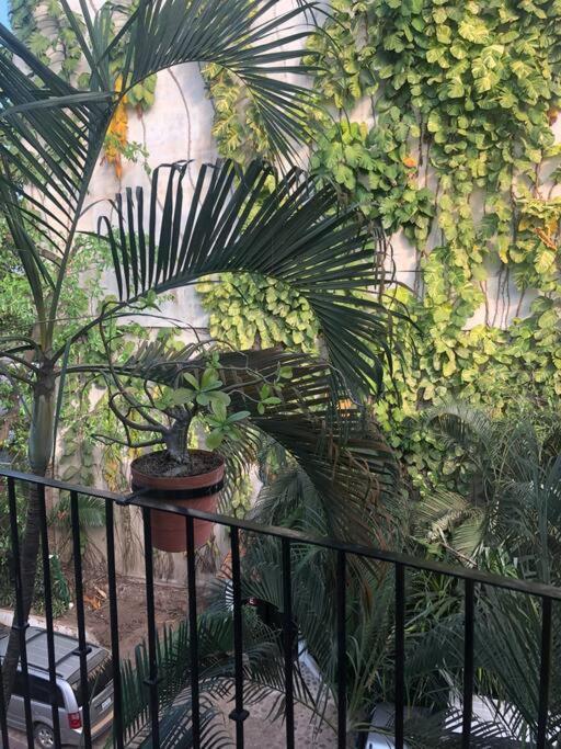 Centrally Located 1 Block From Beach, Quiet 2 Bedroom With Pool Puerto Vallarta