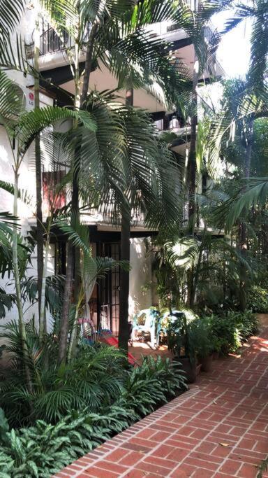Apartment Centrally Located Quiet 2 Bedroom With Pool One Block From Puerto Vallarta