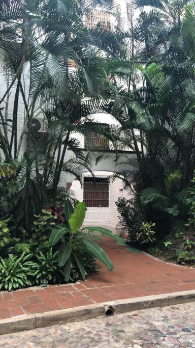 Centrally Located Quiet 2 Bedroom With Pool One Block From * Puerto Vallarta