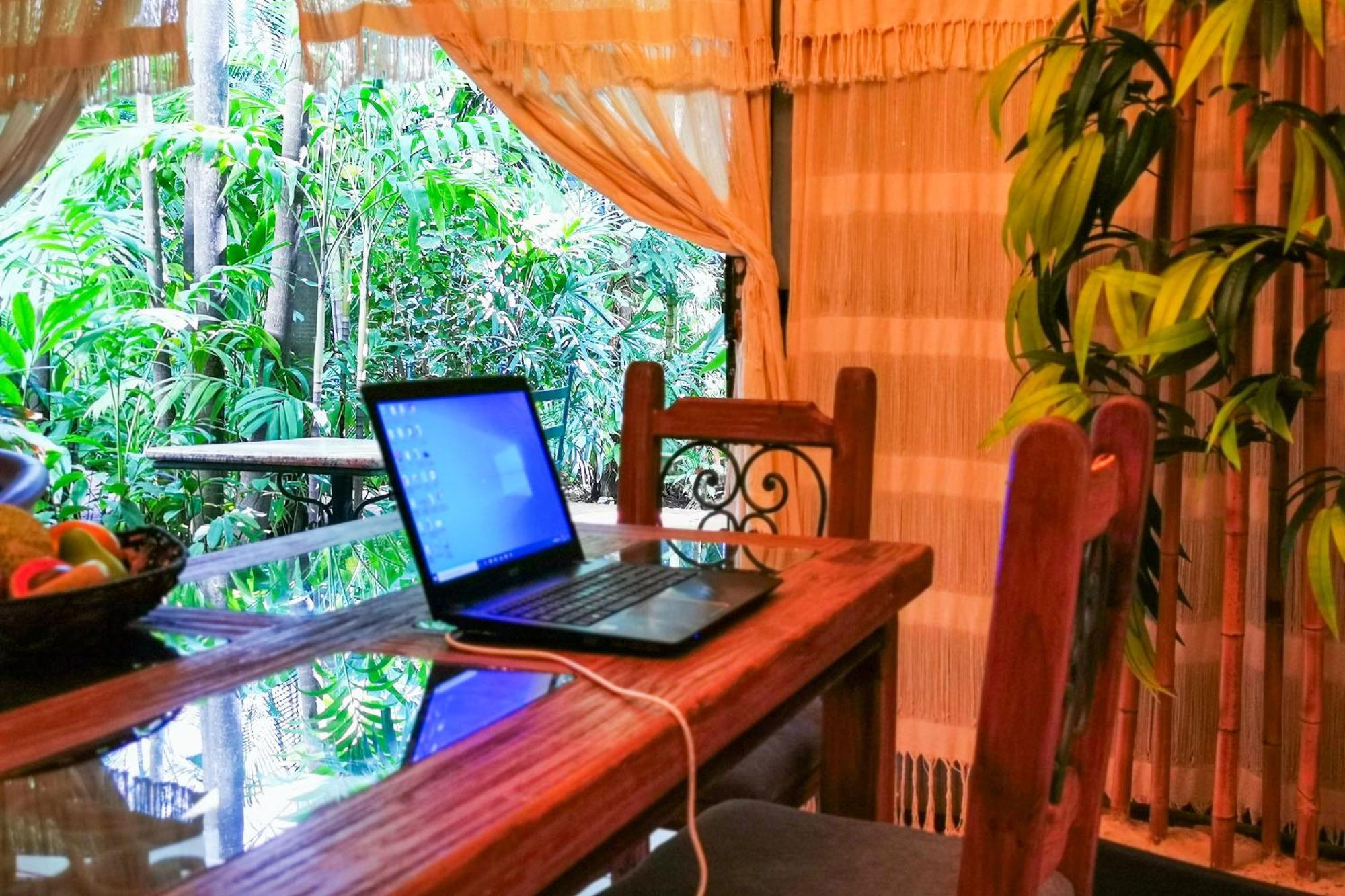 Cozy Tropical Oasis Close To Beach And Shops Apartment Puerto Vallarta