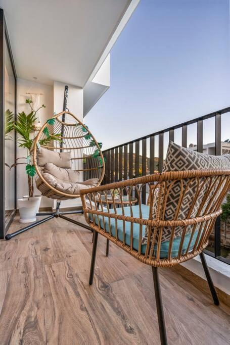 Plant Filled In Versalles Apartment *