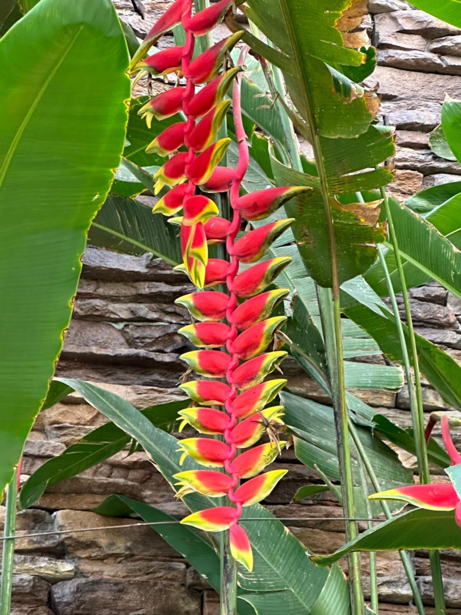 Casa Romance Escondido Holiday home