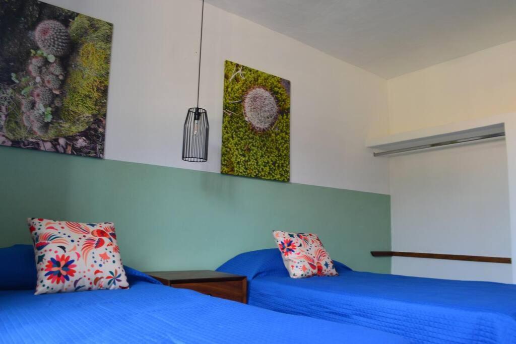 Apartamento Preciosos Departamentos Tradicionales Cerca De La Playa *