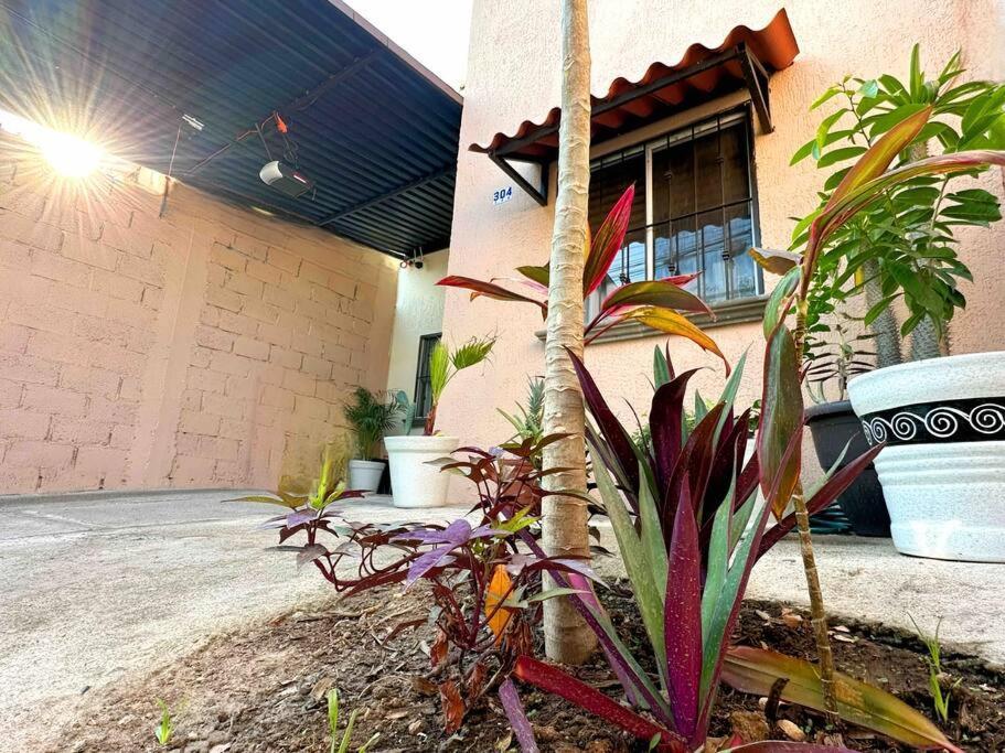 Your In Paradise Sleeps 11 Holiday home Puerto Vallarta