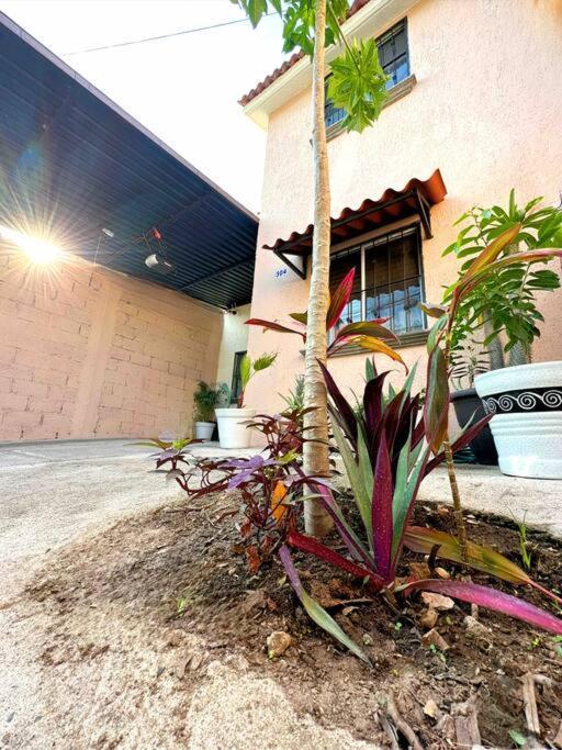 Your In Paradise Sleeps 11 Holiday home *