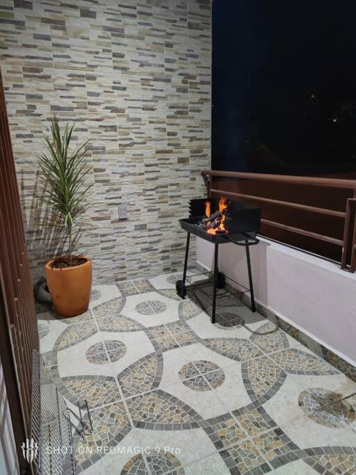 Apartment Departamento Del Cuale *