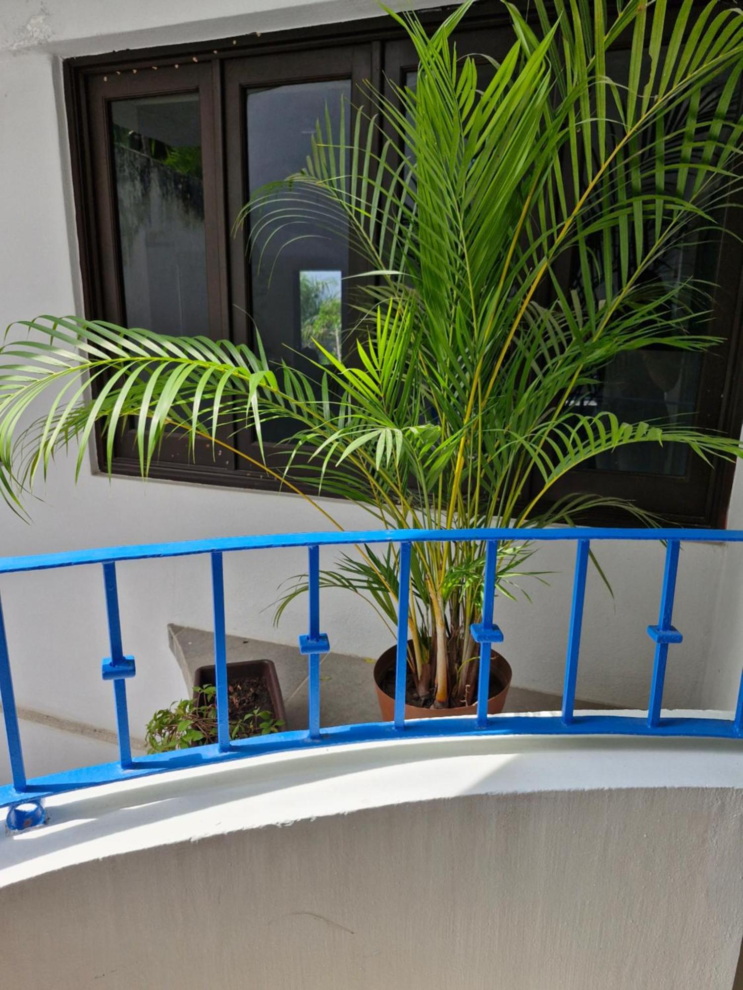 Apartment Paradise