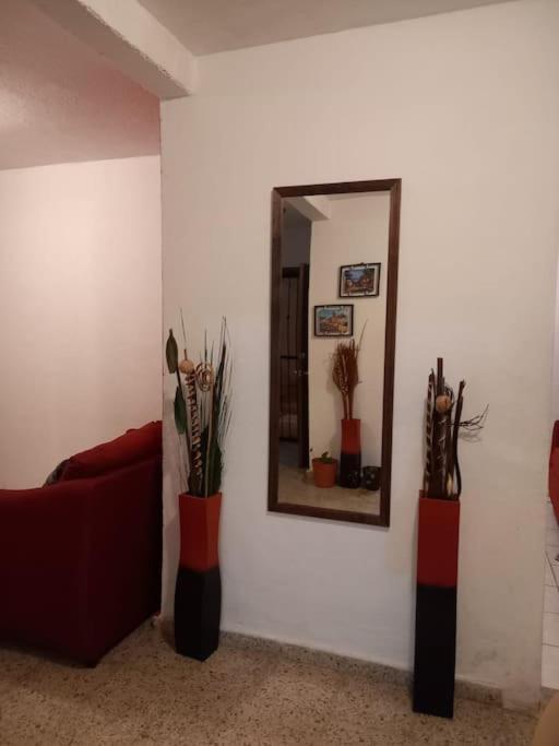 Casa Amaral