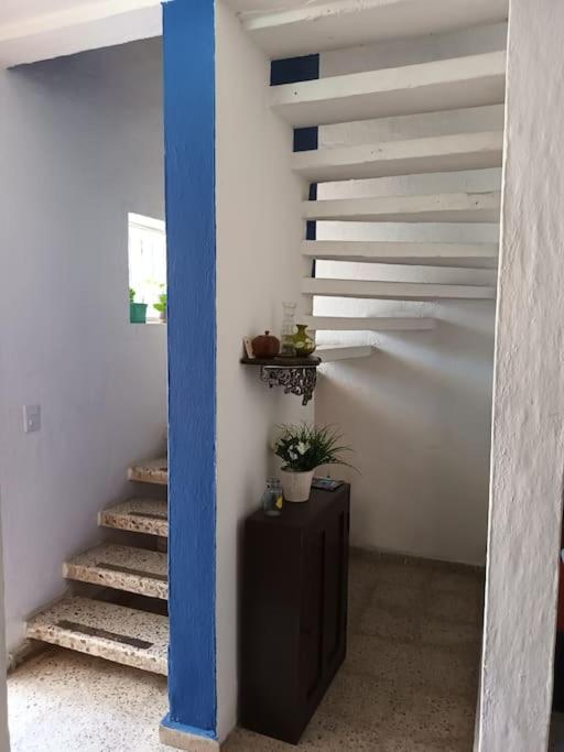 Casa Amaral Holiday home