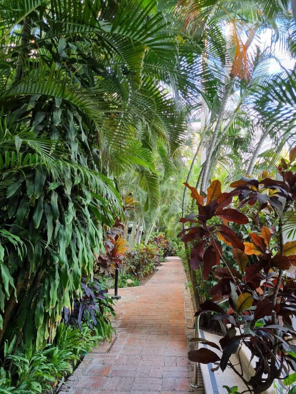 2 Bedroom Treetop Apartamento Puerto Vallarta