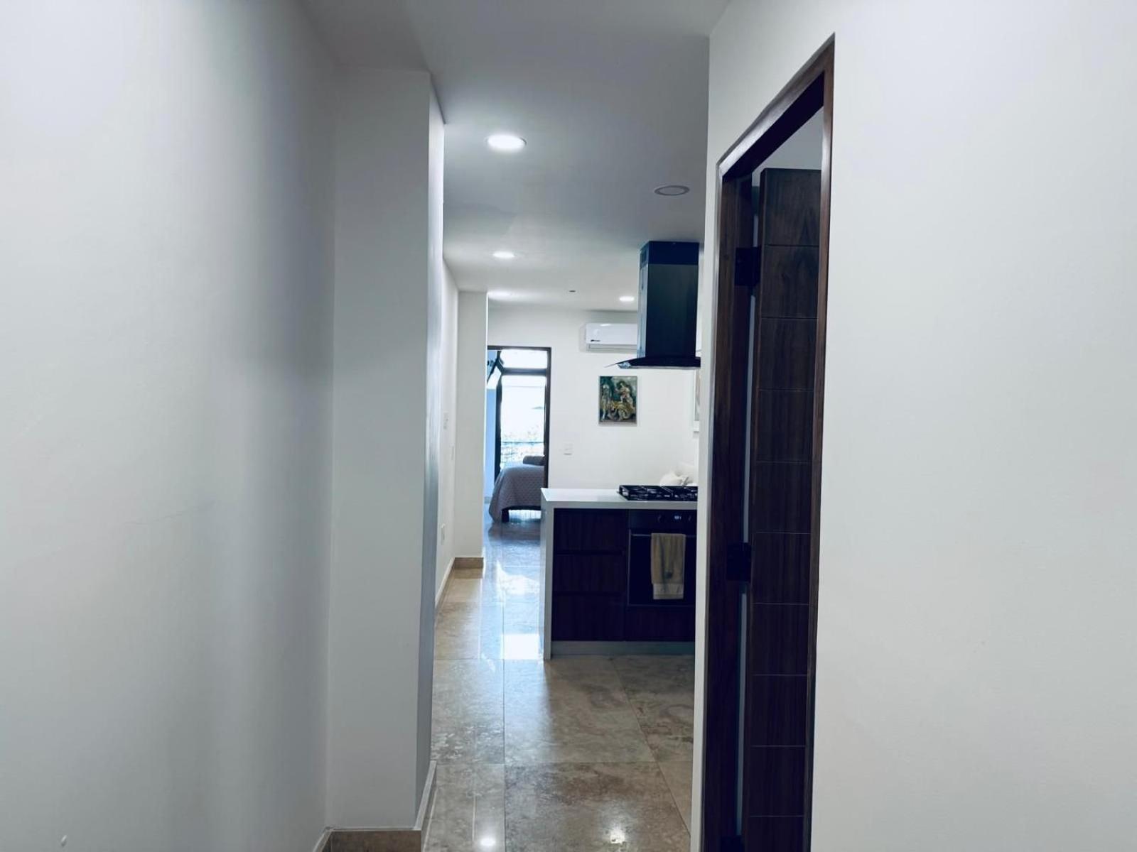 Romantic Zone Apartment Puerto Vallarta