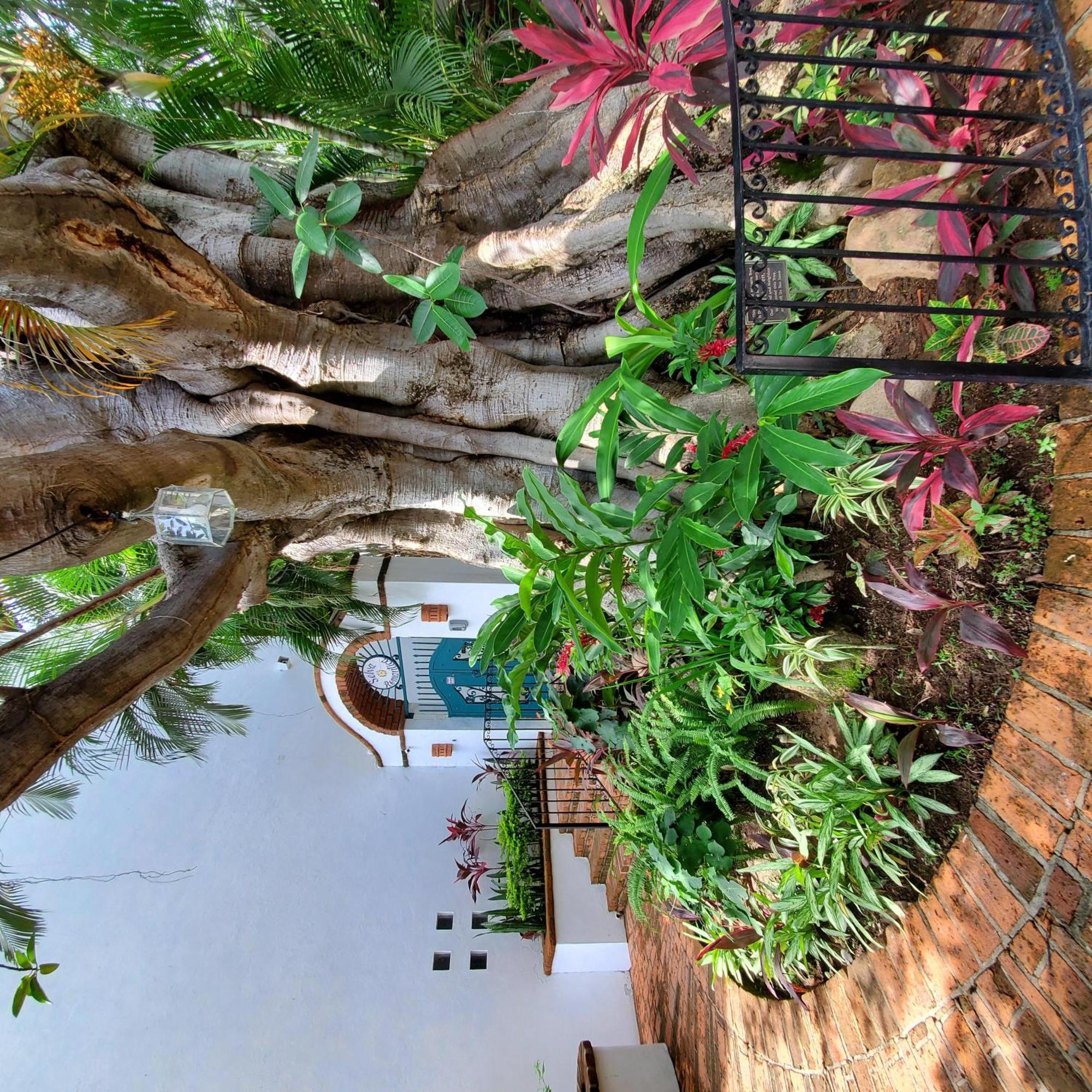Casa Tortuga At Selva Romantica