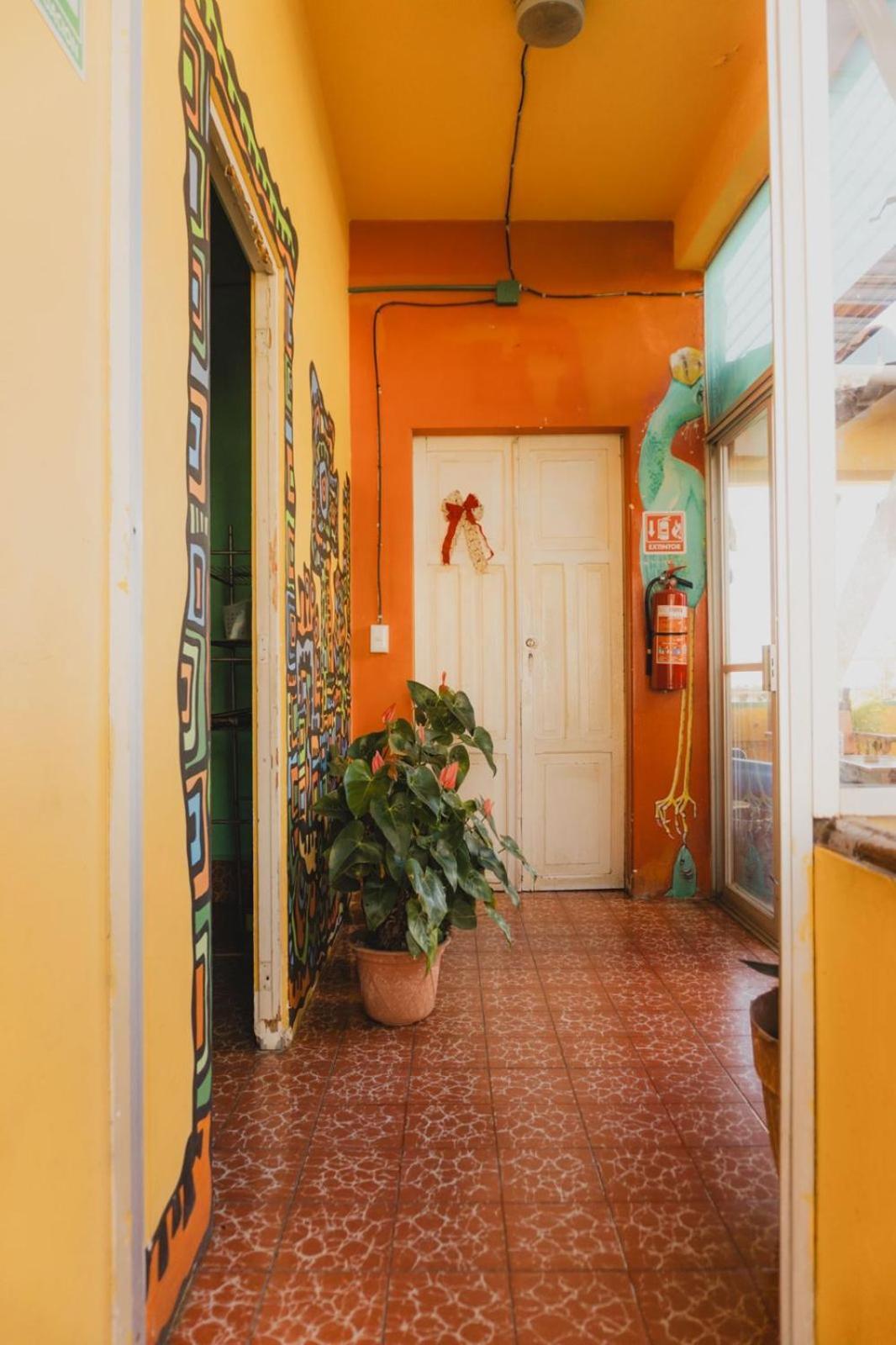 Casa Kraken Hostel
