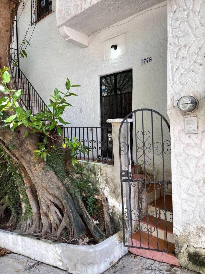 Apartment Newly Renovated B2 With Patio Sleeps 2 *