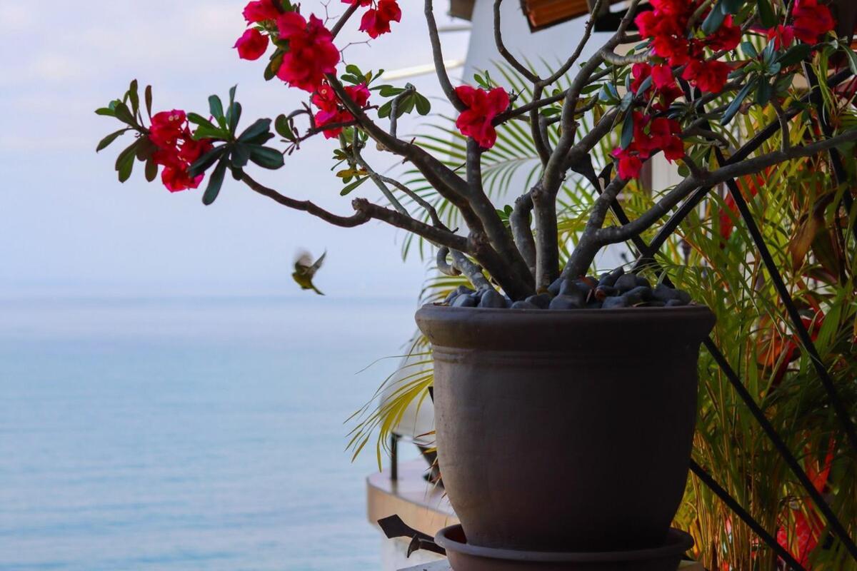 Of Life - One Bedroom Ocean Views *