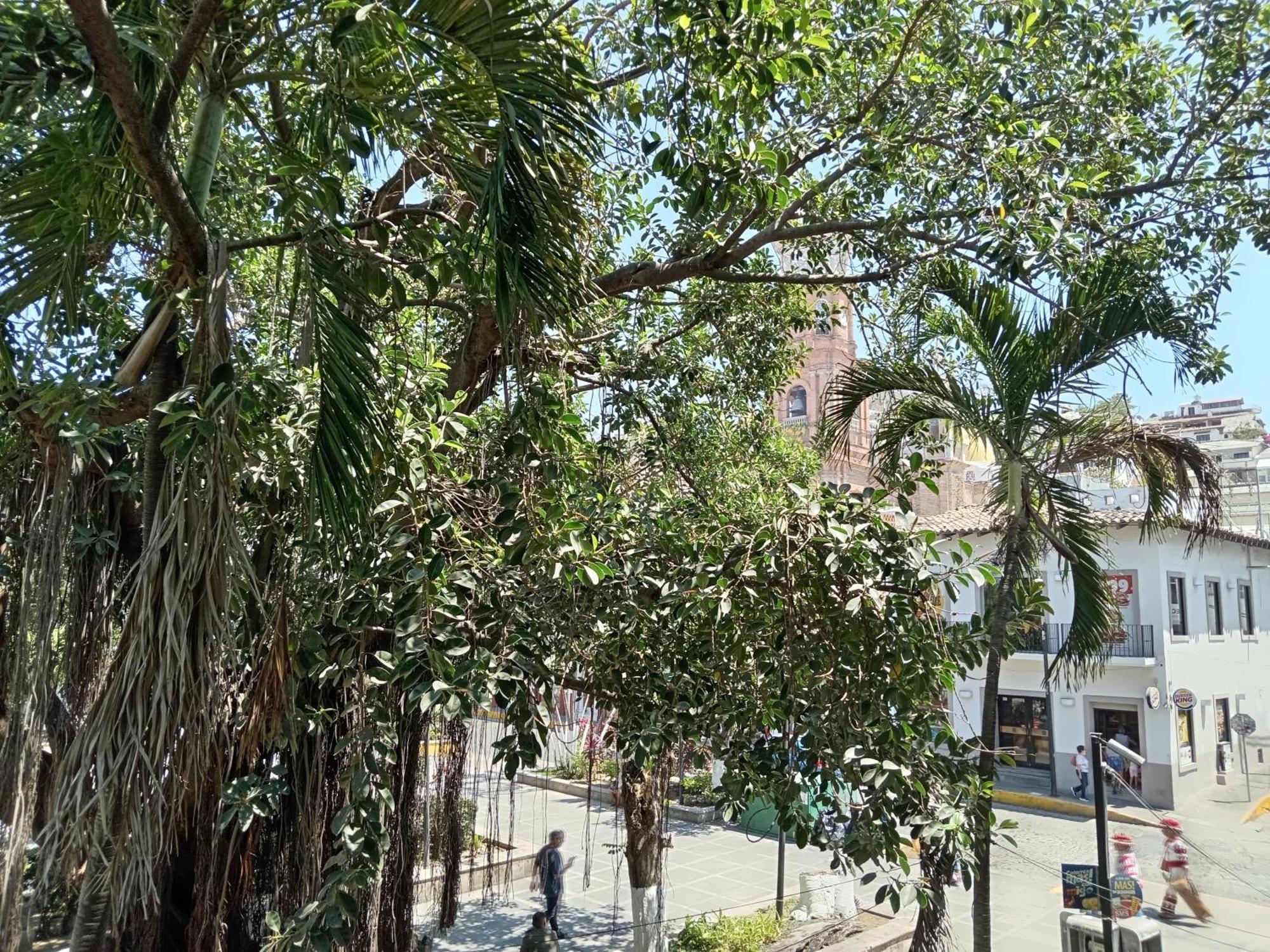 Hotel Casa Kavia 3*