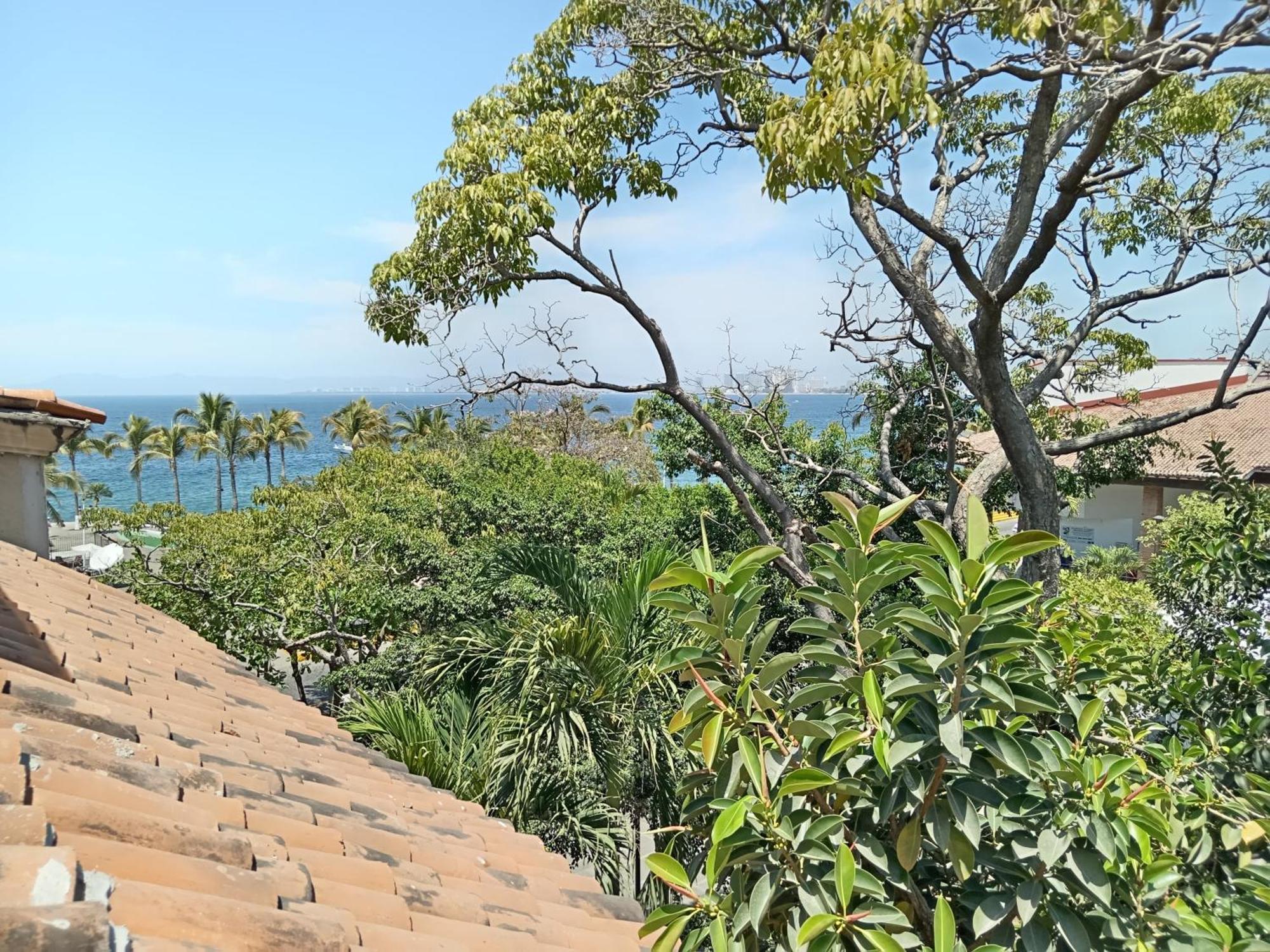 Casa Kavia Hotel Puerto Vallarta