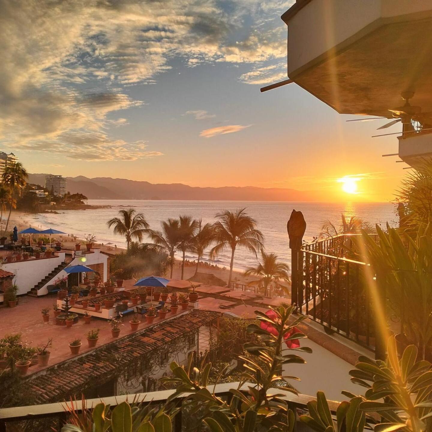Muertos Escape Puerto Vallarta
