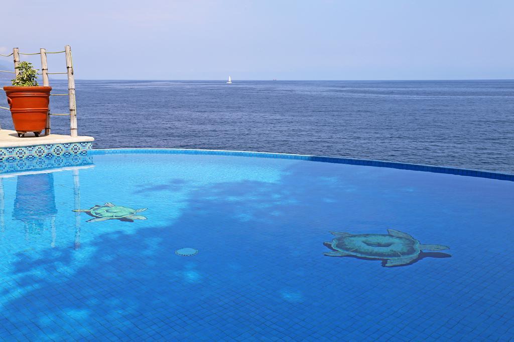 Tortugas En Villa Puerto Vallarta