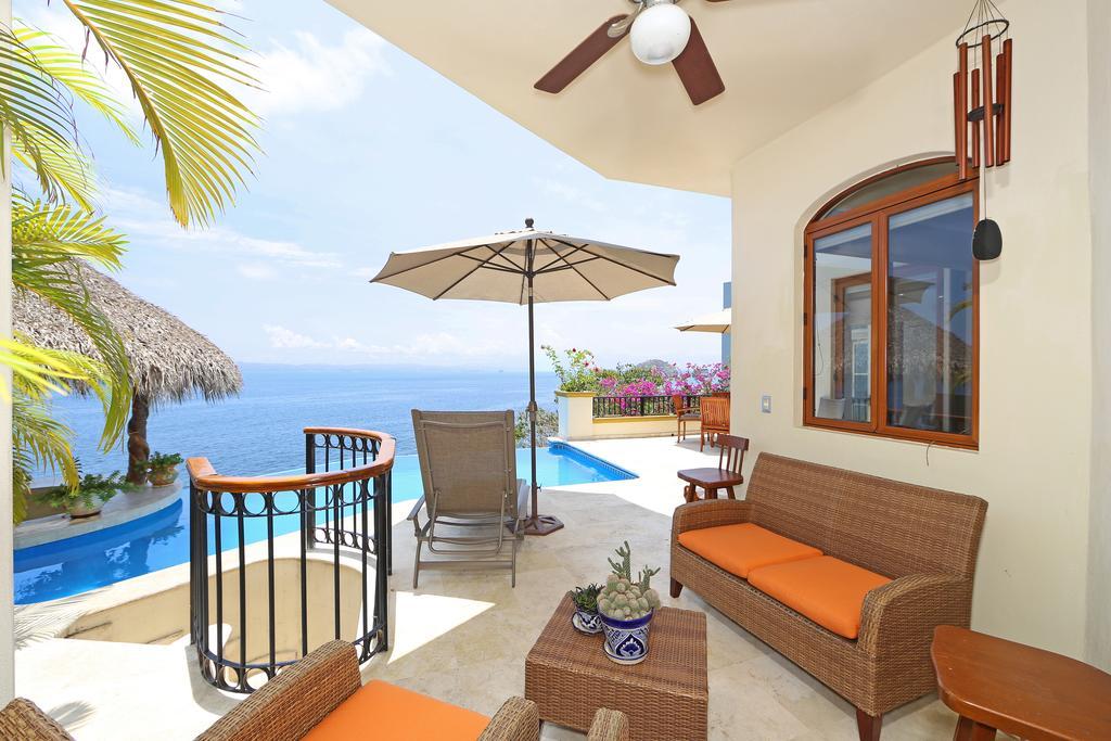 Tortugas En Villa Puerto Vallarta