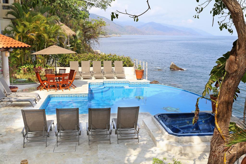 Tortugas En Villa Puerto Vallarta