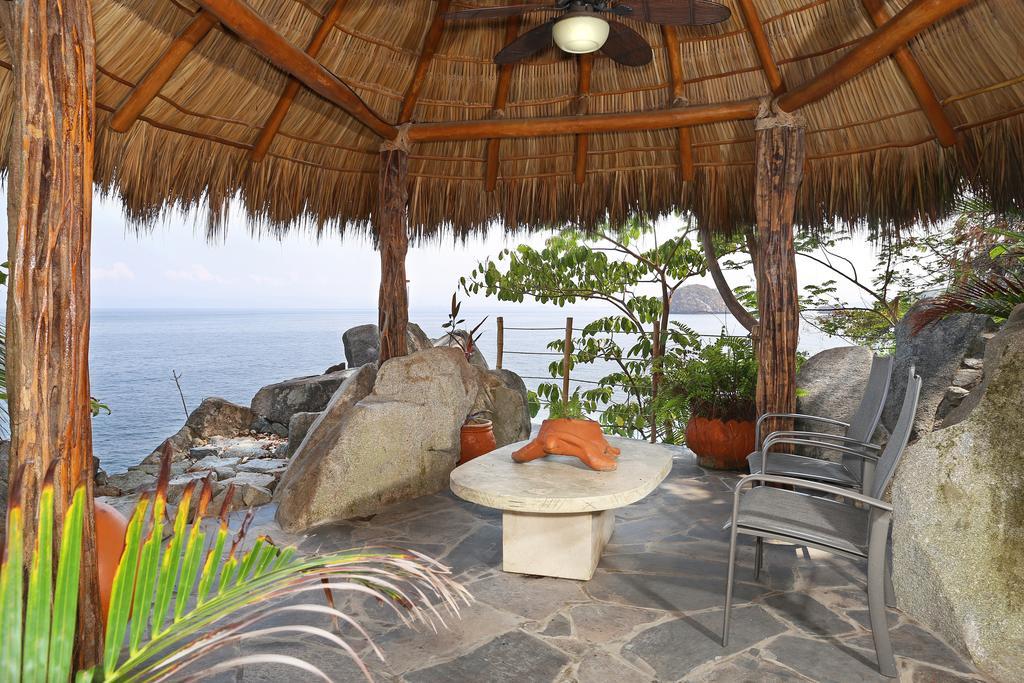 Tortugas En Puerto Vallarta