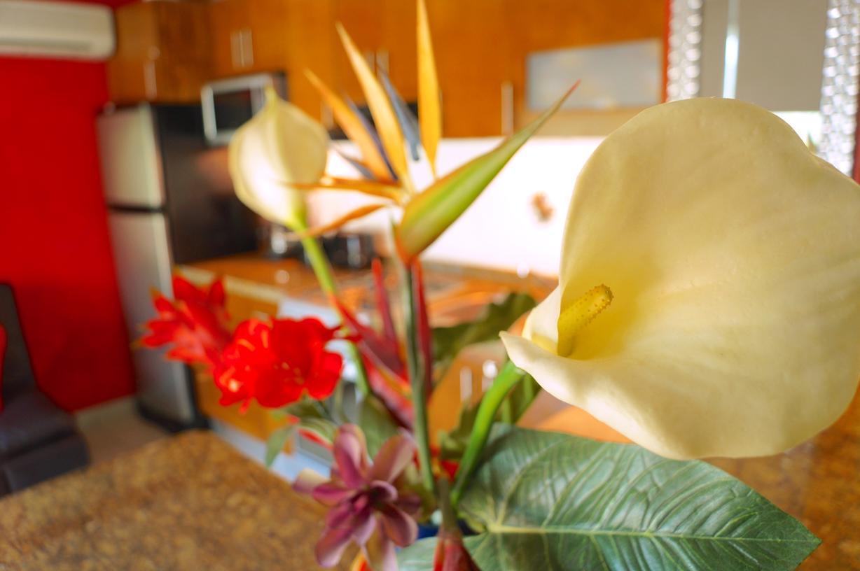 Cielito Lindo Apartment