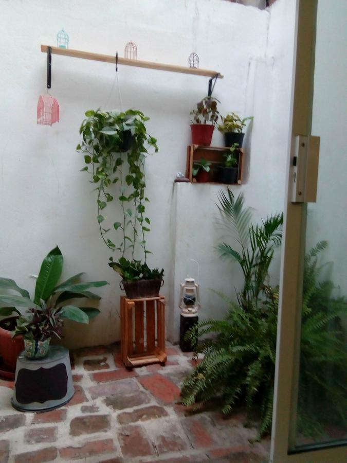 Apartamento Departamento Colibrí Puerto Vallarta