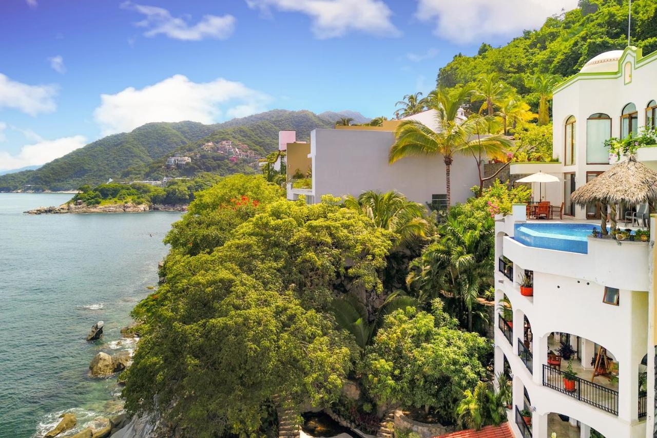 Tortugas En Villa Puerto Vallarta