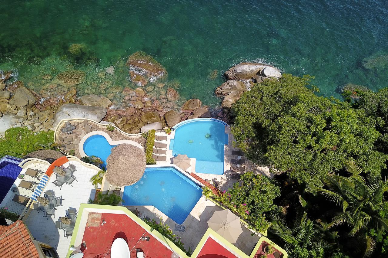 Tortugas En * Puerto Vallarta