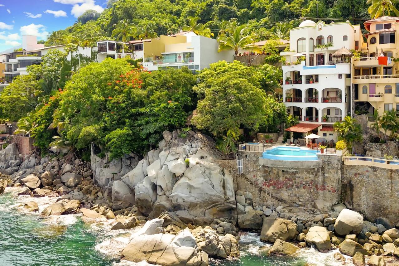 Tortugas En * Puerto Vallarta